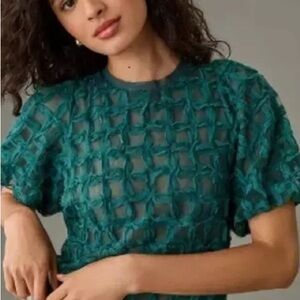 Sarah hann Womens Green Textured Mesh Short Sleeve Top size XL